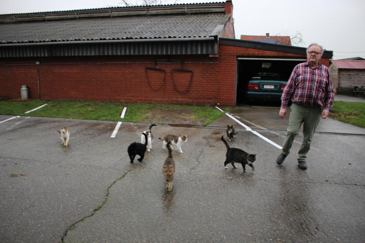 Breeden Steeger Hoeve Lichtervelde ภายนอก รูปภาพ